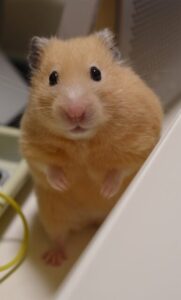 投稿された写真